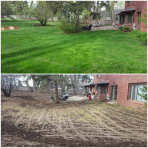 dormant seeding
