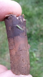 Aeration-Plug-Services-by-Omaha-Organics-Lawn-Care