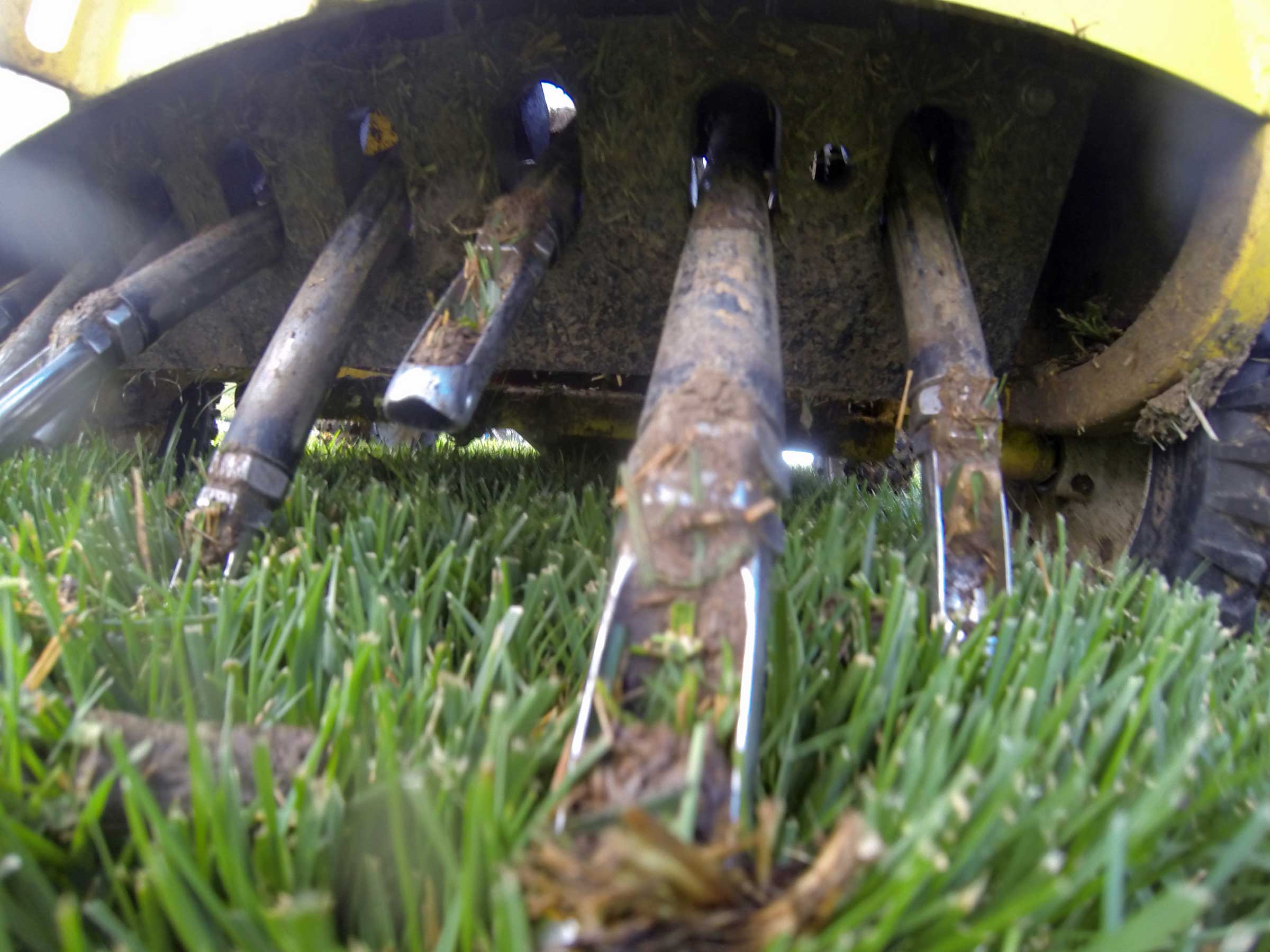 Core Aeration