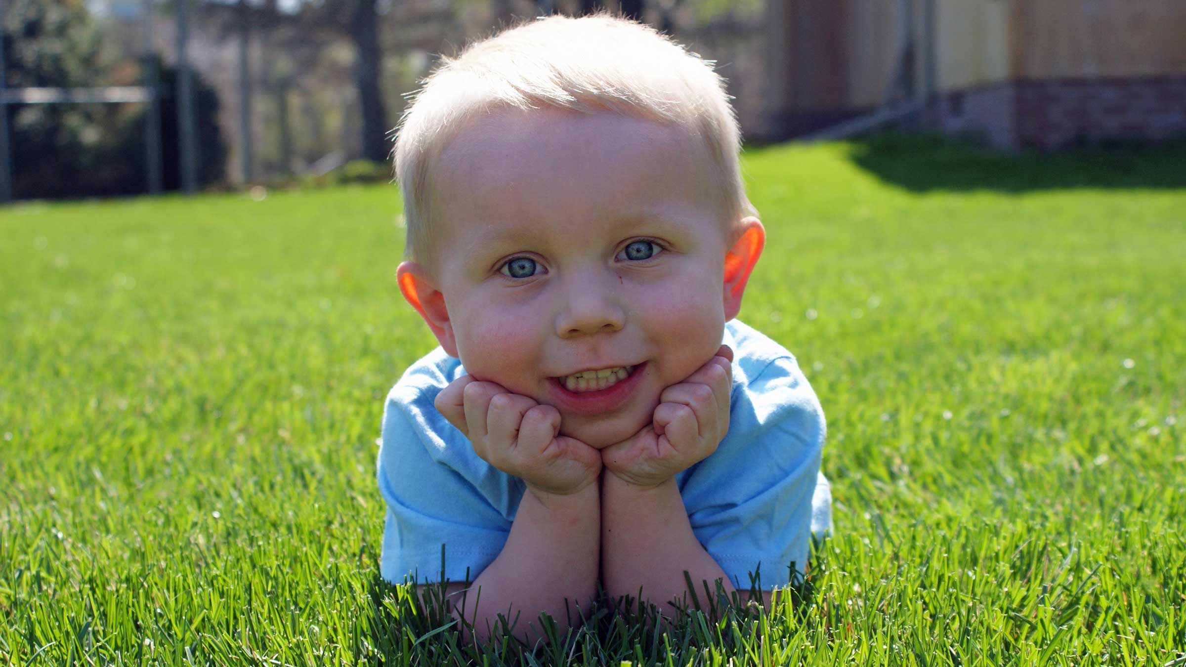 Spring Lawn Maintenance