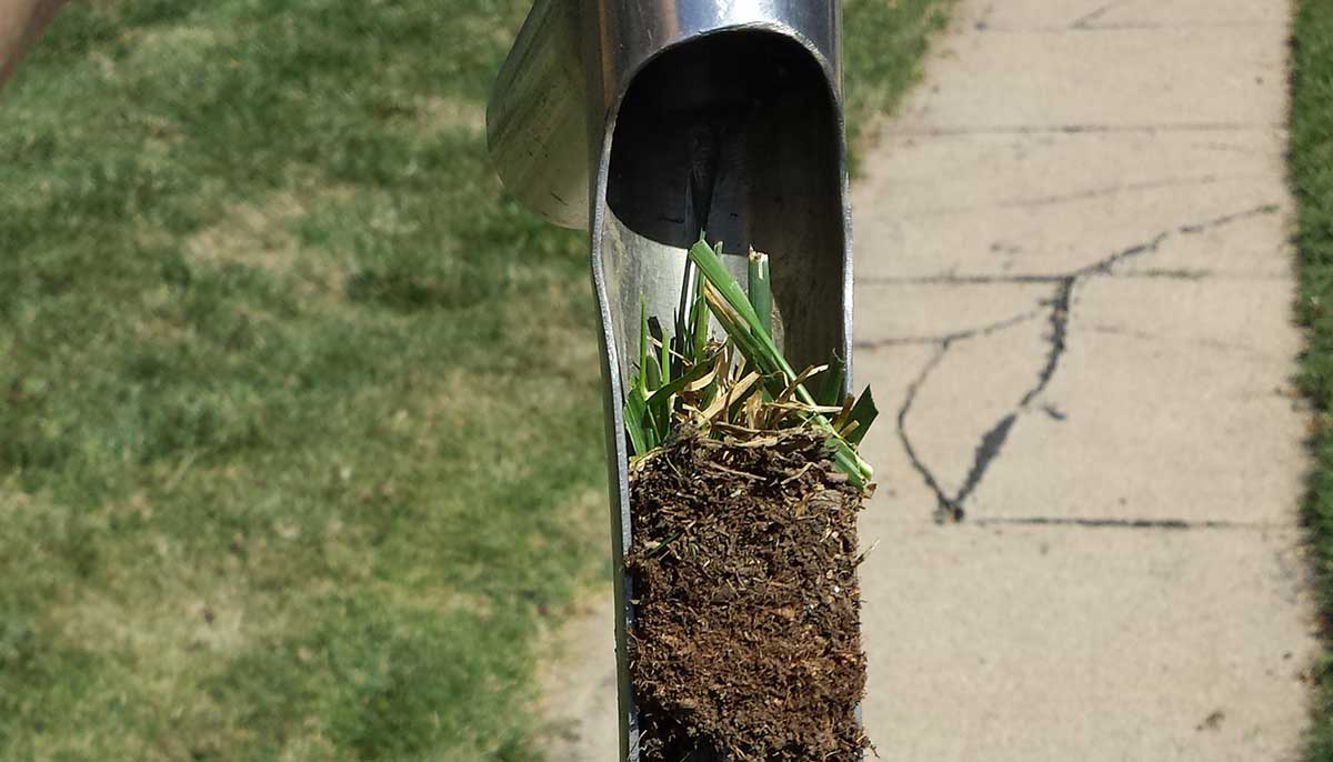 Soil Testing