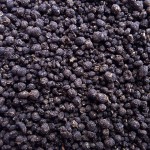 5-1-5 Alfalfa Kelp Molasses