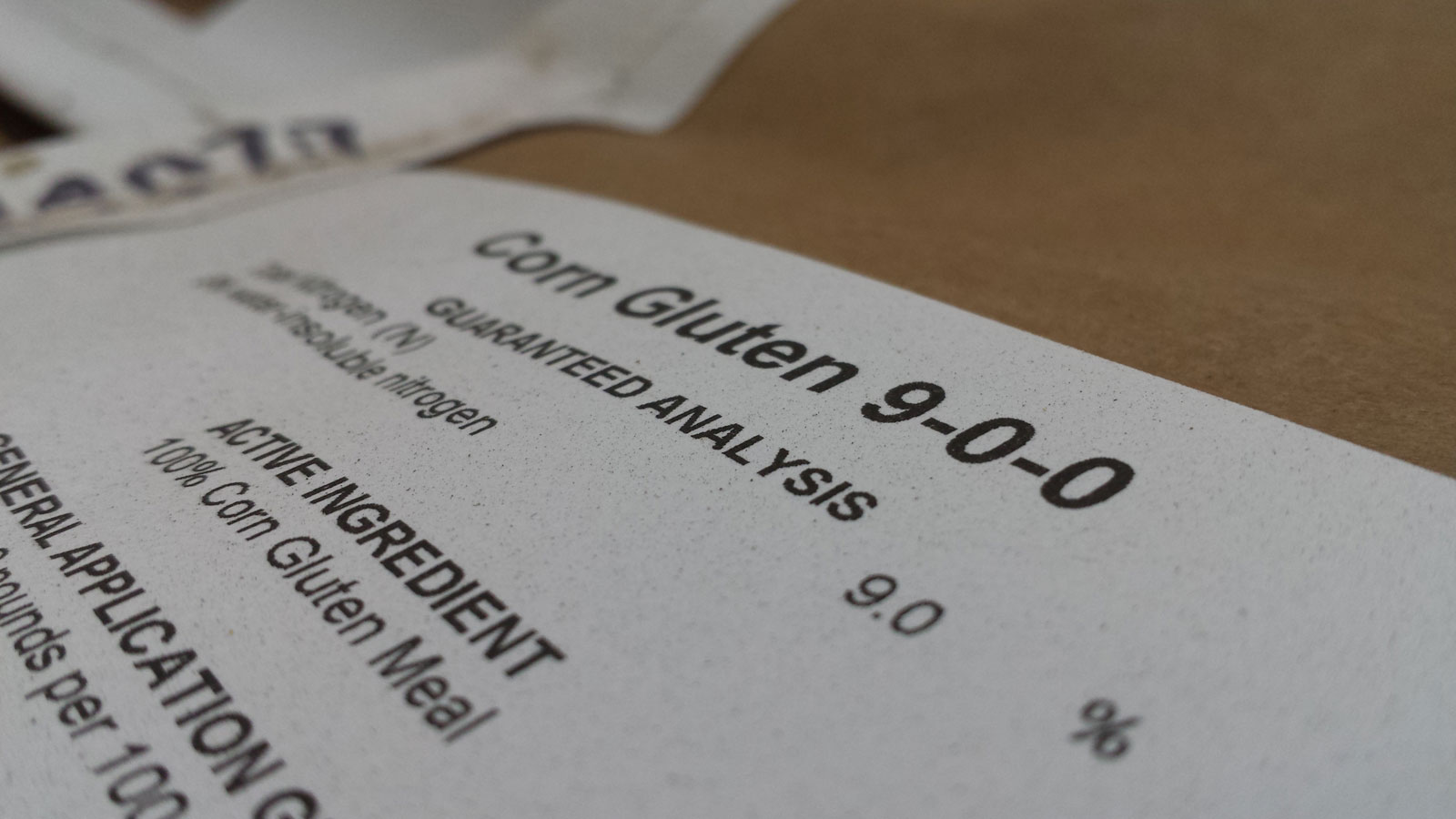 Corn Gluten