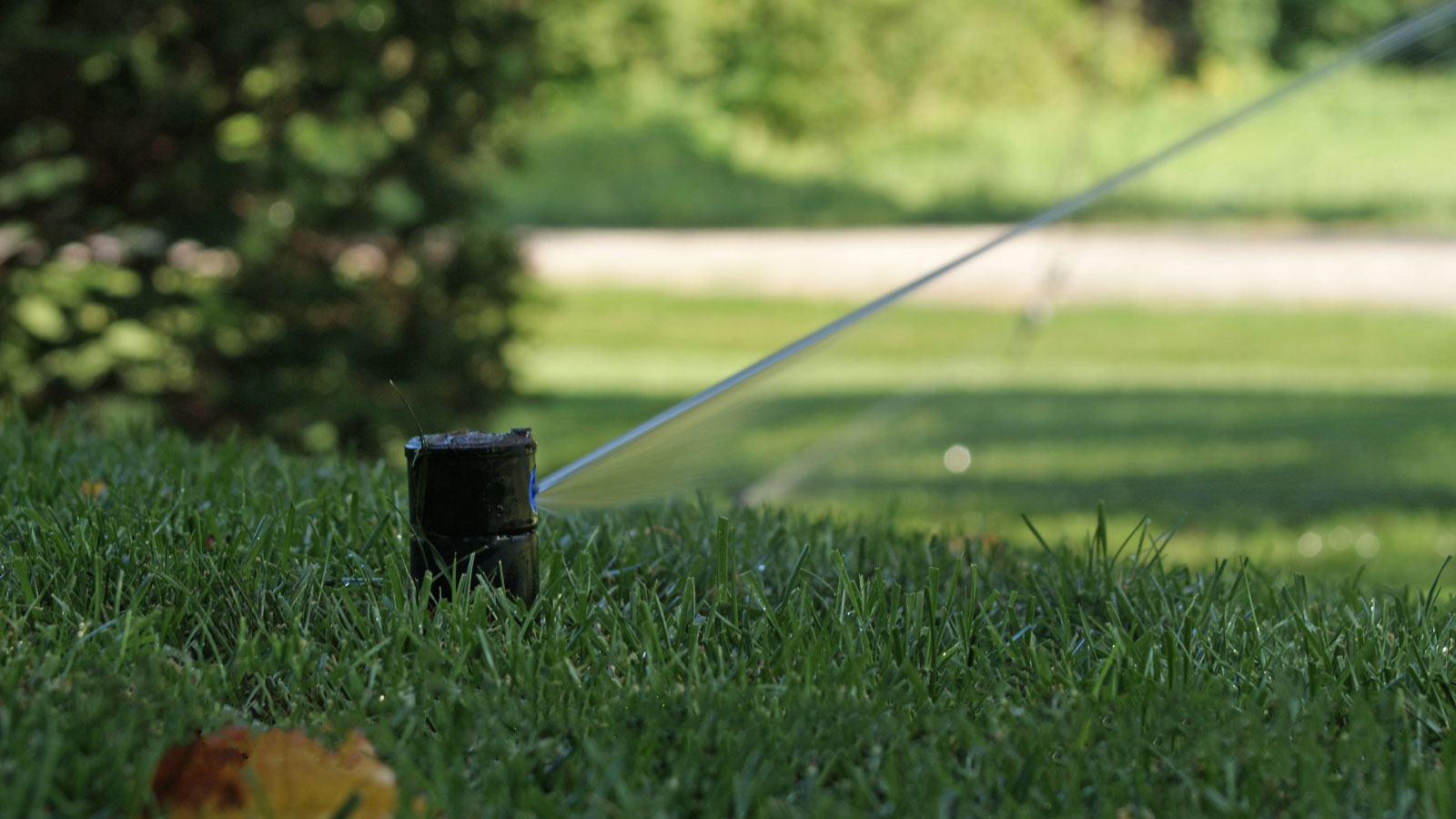 Lawn Irrigation