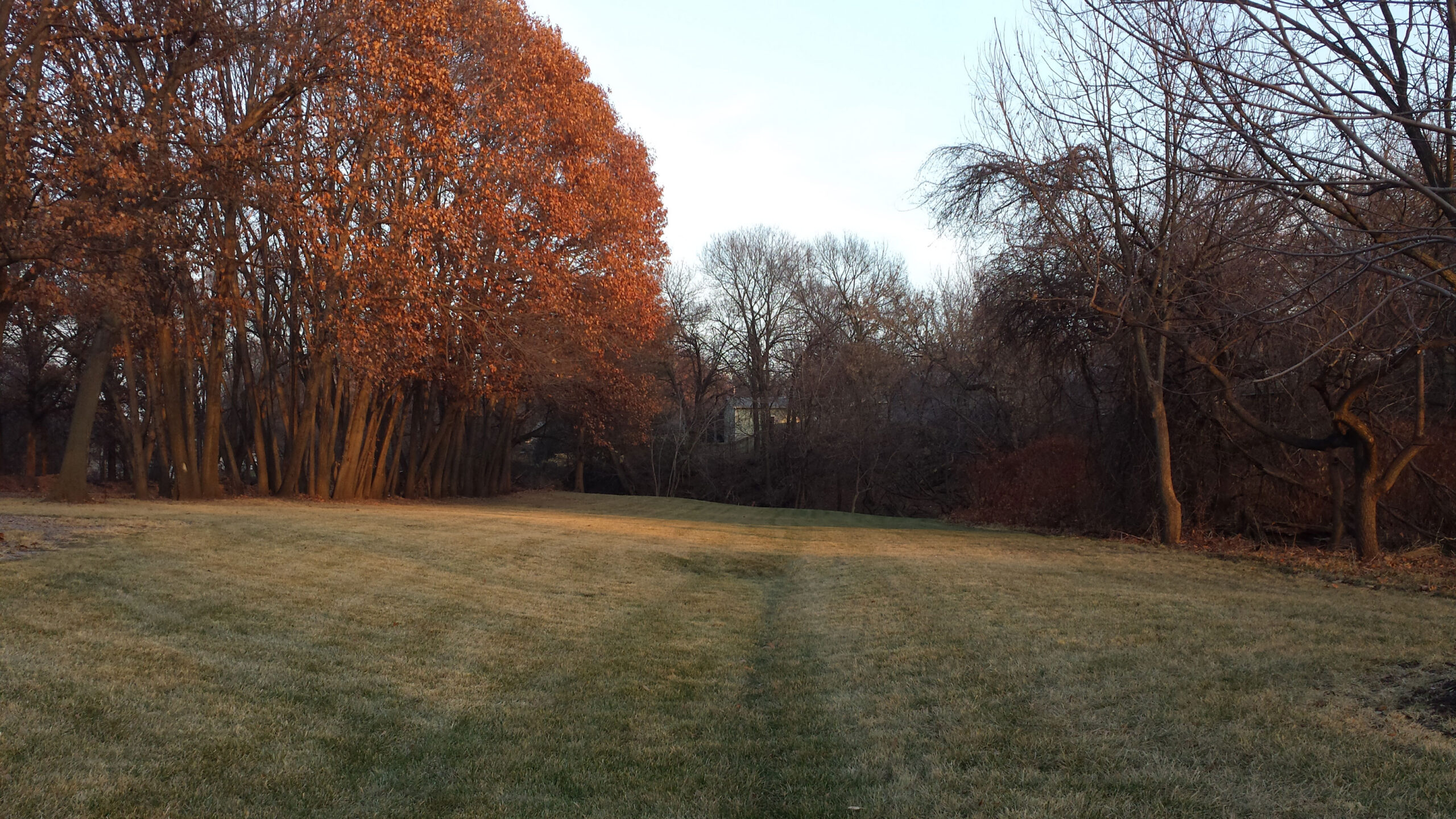 Winter Watering