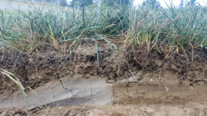 Soil Compaction