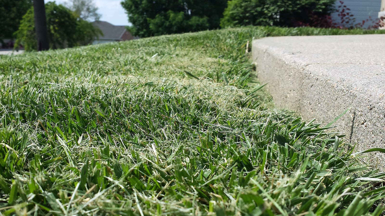 Mowing Injury