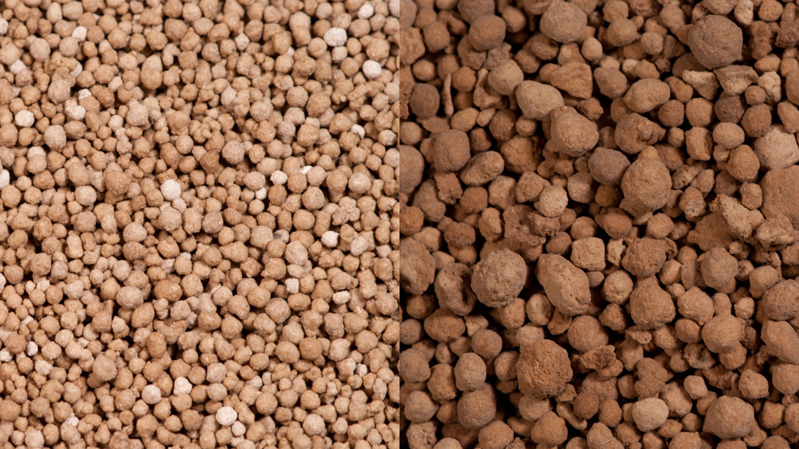 Gypsum vs. Lime