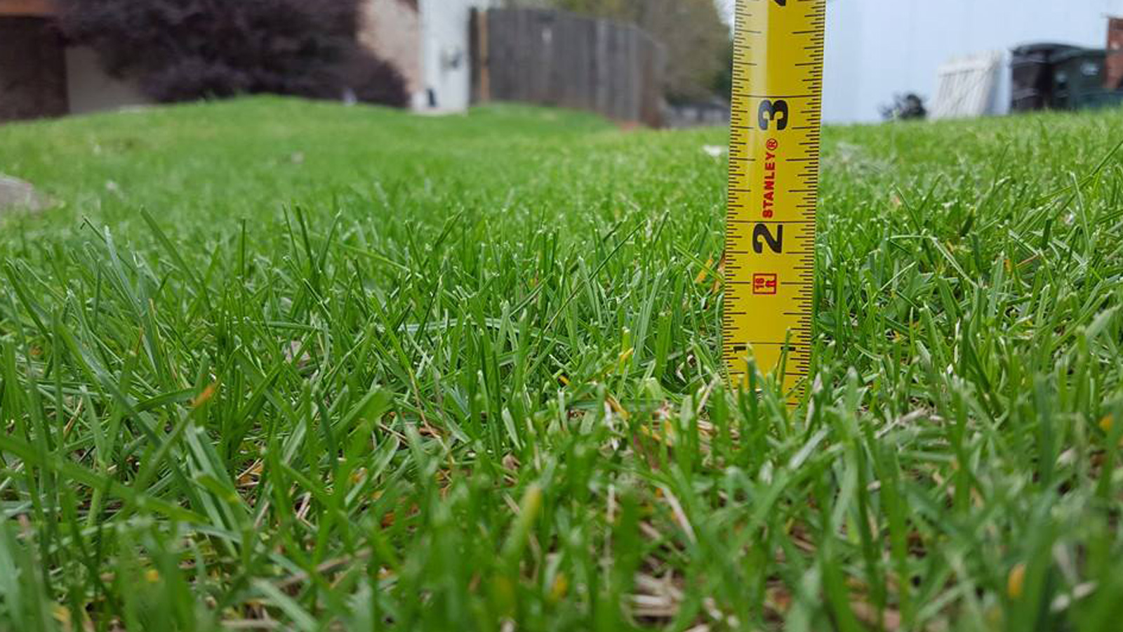 Common Turf Mistakes