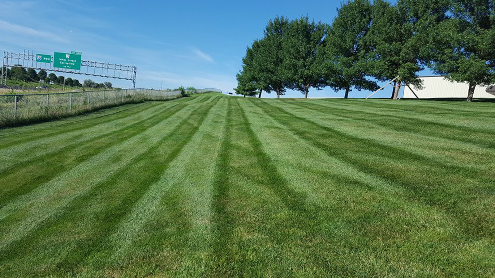 Lawn Facts