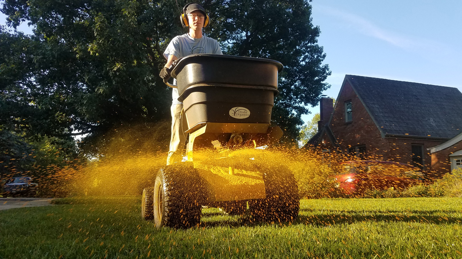 Why Does Turf Need Fertilizer?