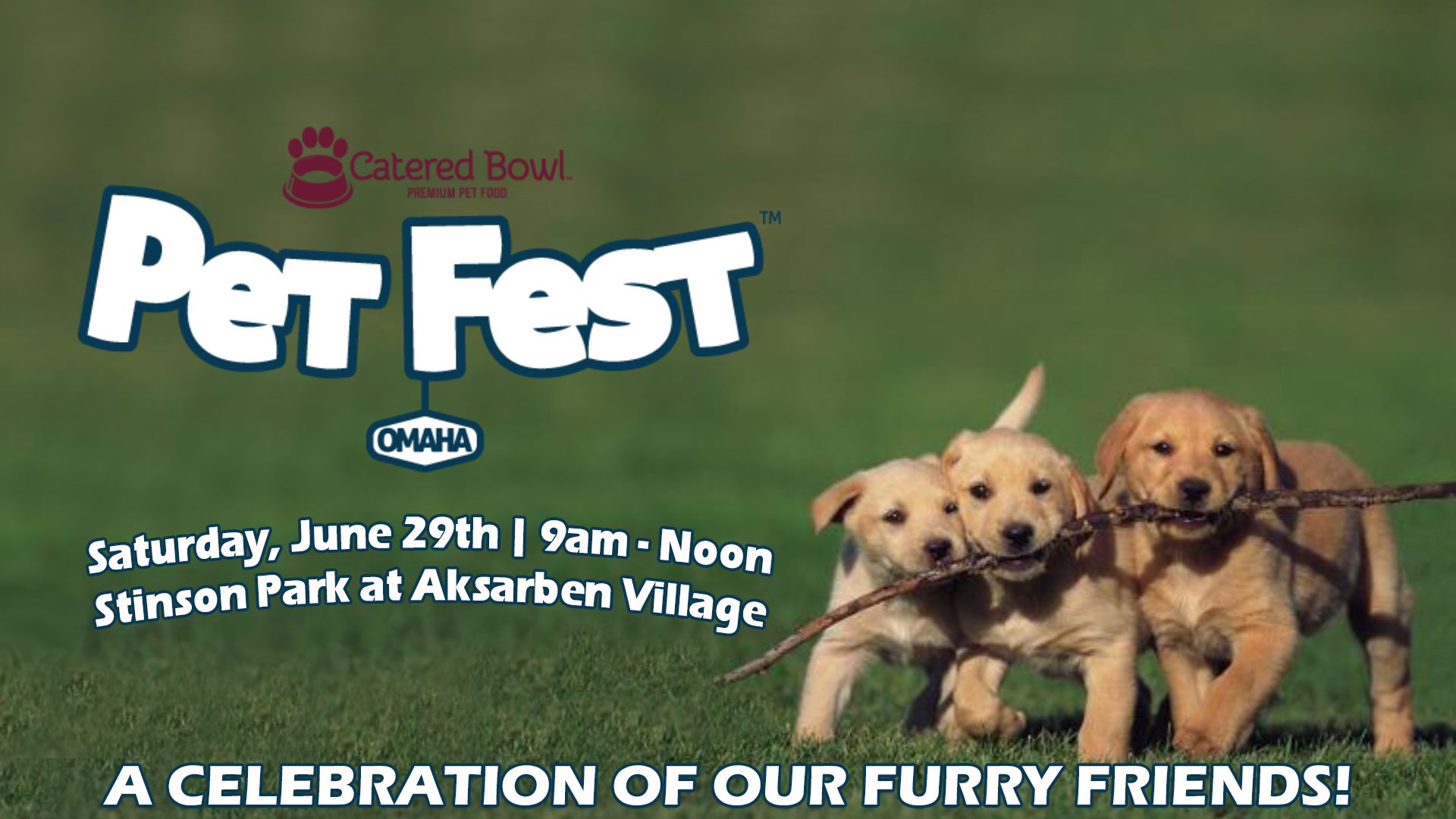 2019 Pet Fest
